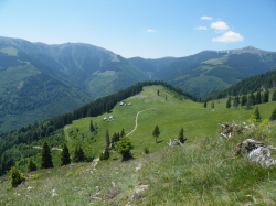 DSCF1514_1.JPG