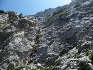DSCF2044_1.JPG