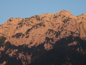 DSCF2066_1.JPG